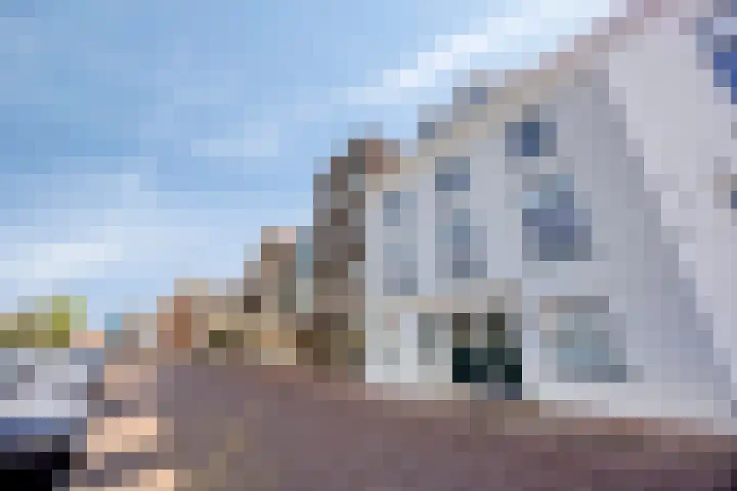 Scharloo 7 d Brielle thumbnail 26