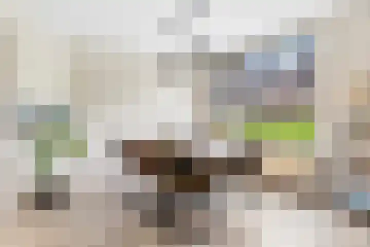 Scharloodijk 13 Herkingen thumbnail 10