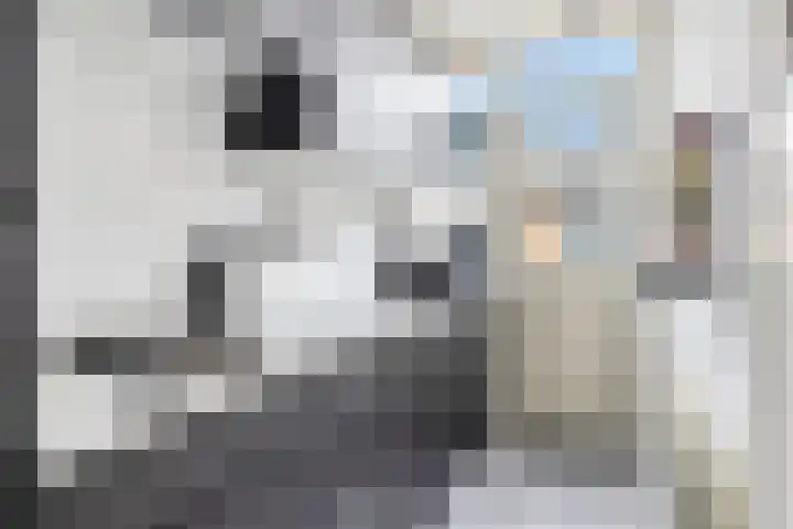 Scharloodijk 13 Herkingen thumbnail 13