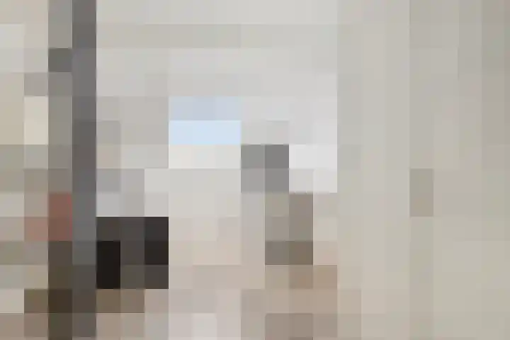 Scharloodijk 13 Herkingen thumbnail 17