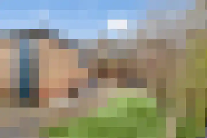 Scharloodijk 13 Herkingen thumbnail 21