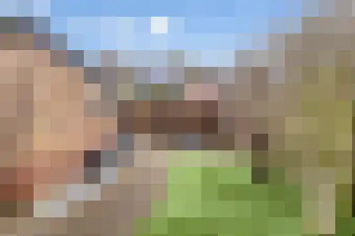 Scharloodijk 13 Herkingen thumbnail 22