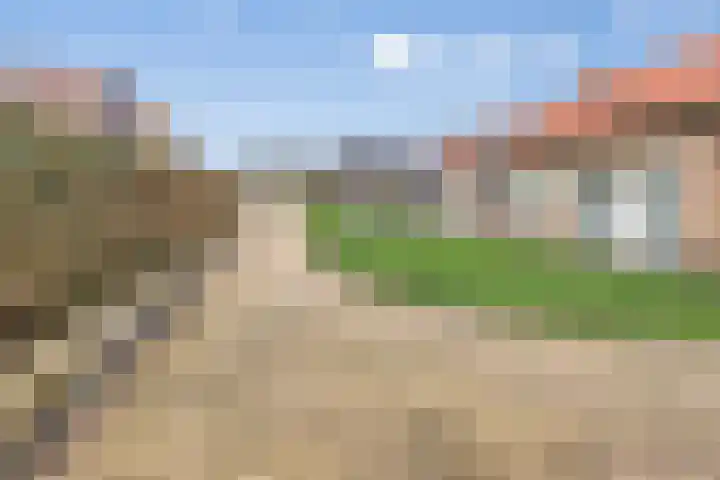 Scharloodijk 13 Herkingen thumbnail 25