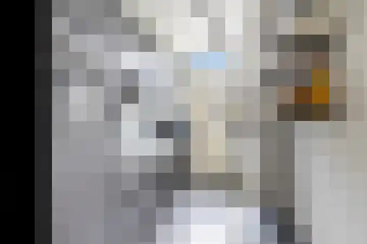 Scharloodijk 13 Herkingen thumbnail 4