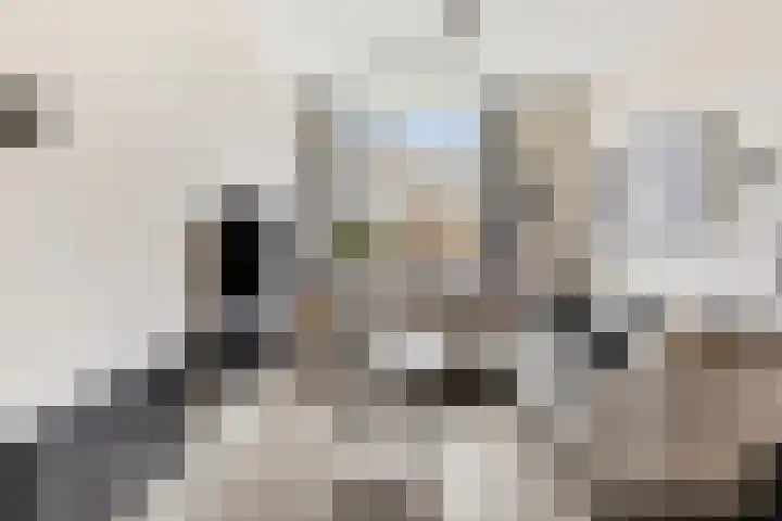 Scharloodijk 13 Herkingen thumbnail 8