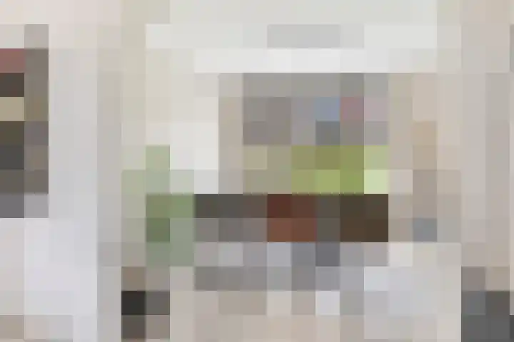 Scharloodijk 13 Herkingen thumbnail 9