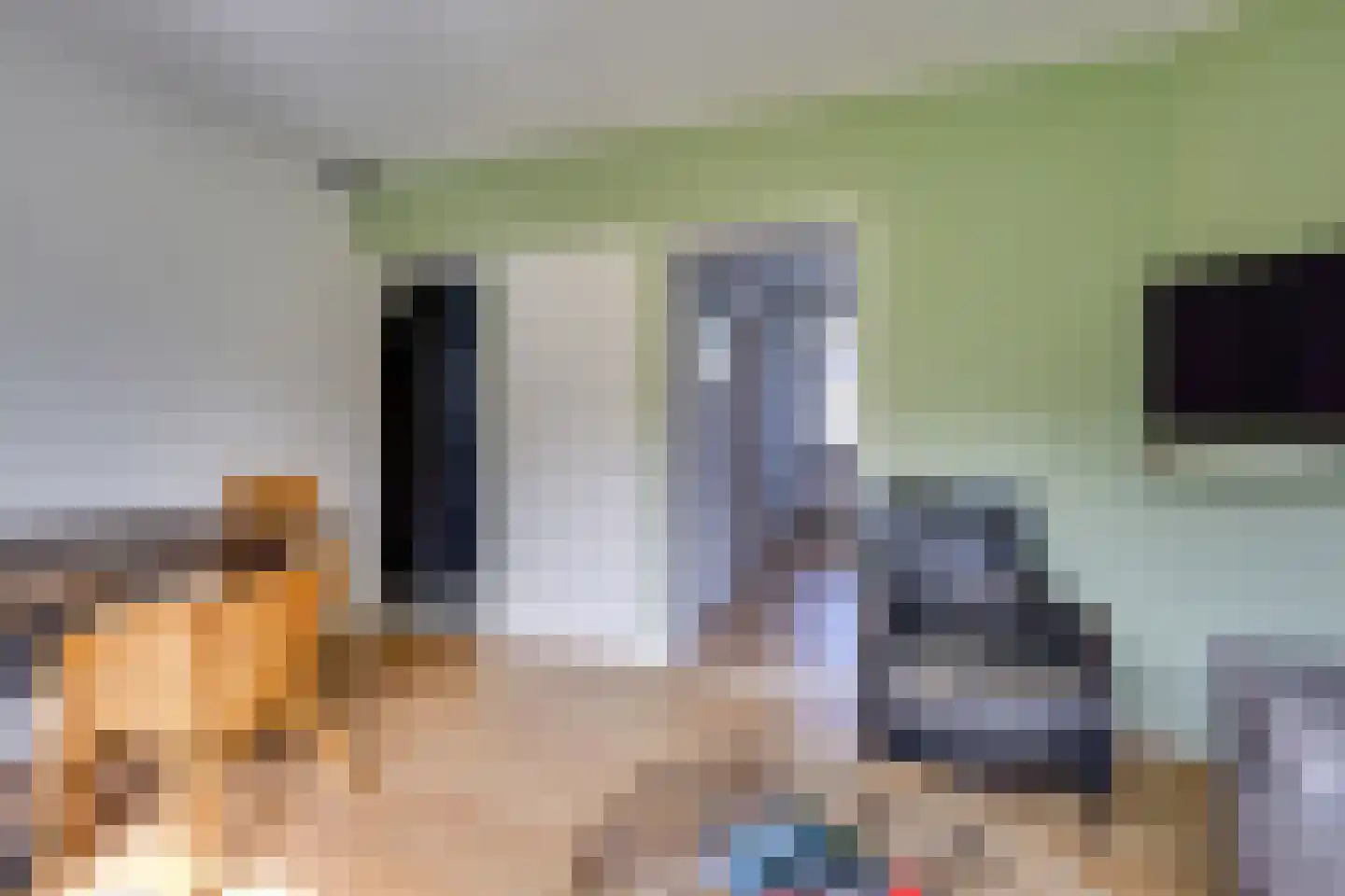 Scharloodijk 17 Herkingen thumbnail 14