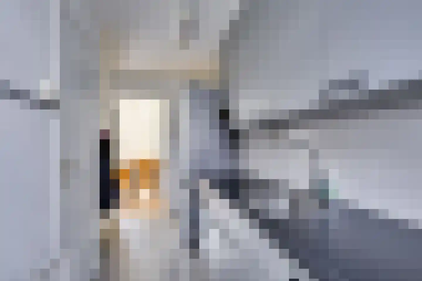 Scharloodijk 17 Herkingen thumbnail 17