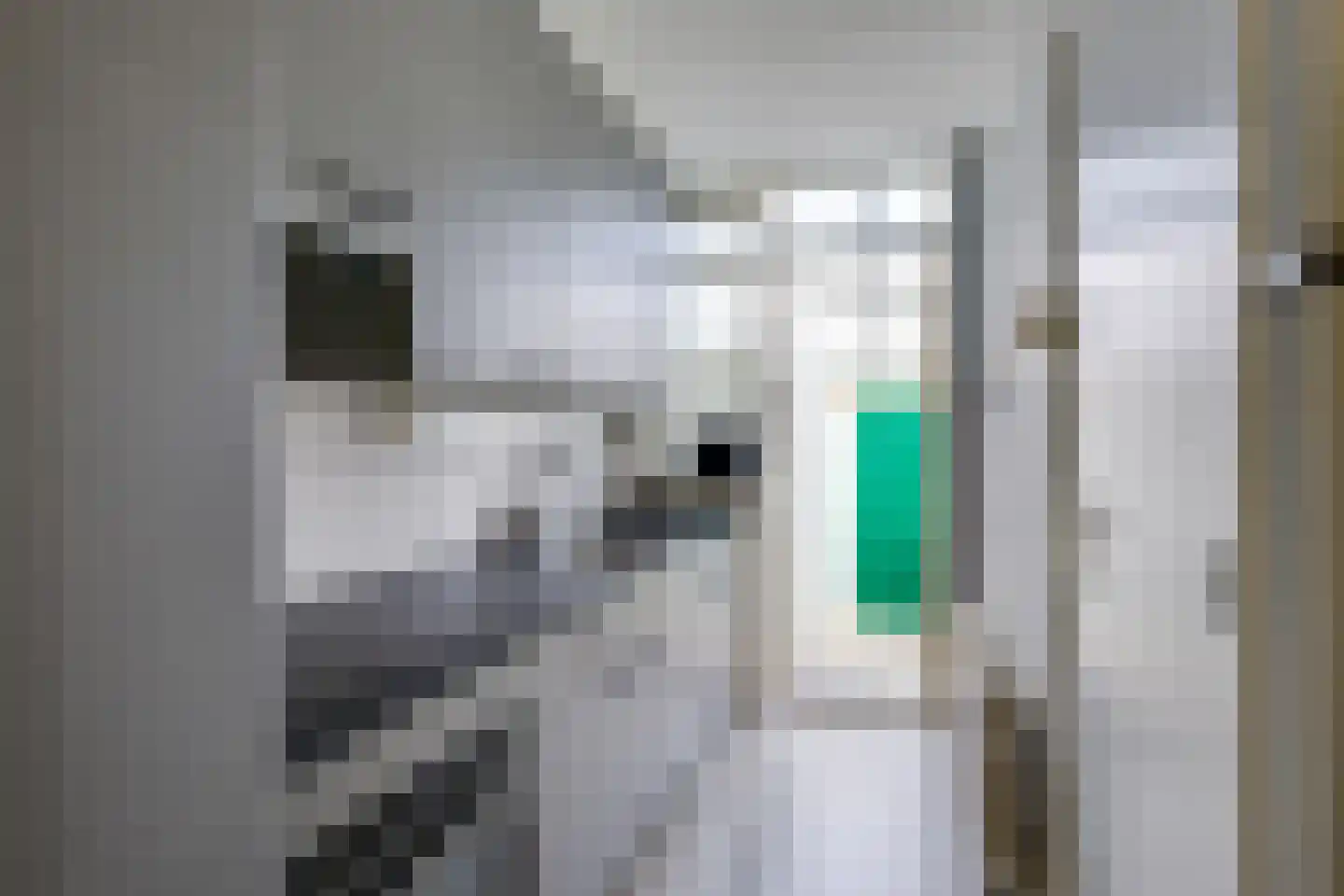 Scharloodijk 17 Herkingen thumbnail 4