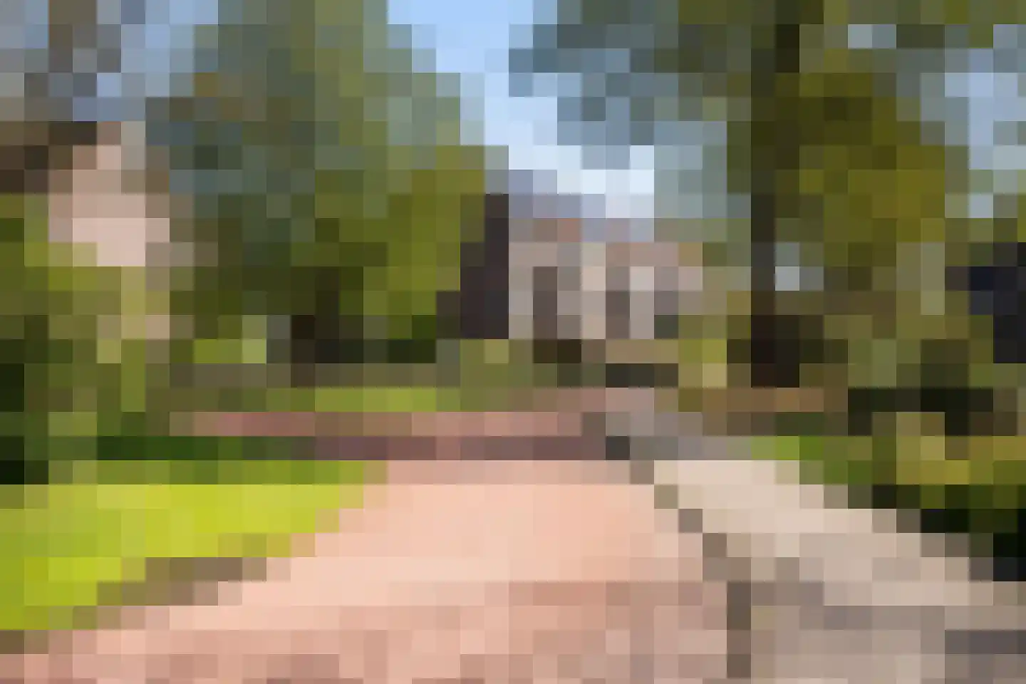 Scharmbarg 149 Assen thumbnail 21