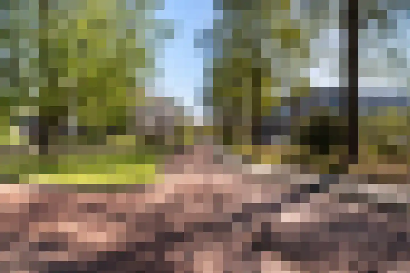Scharmbarg 149 Assen thumbnail 23