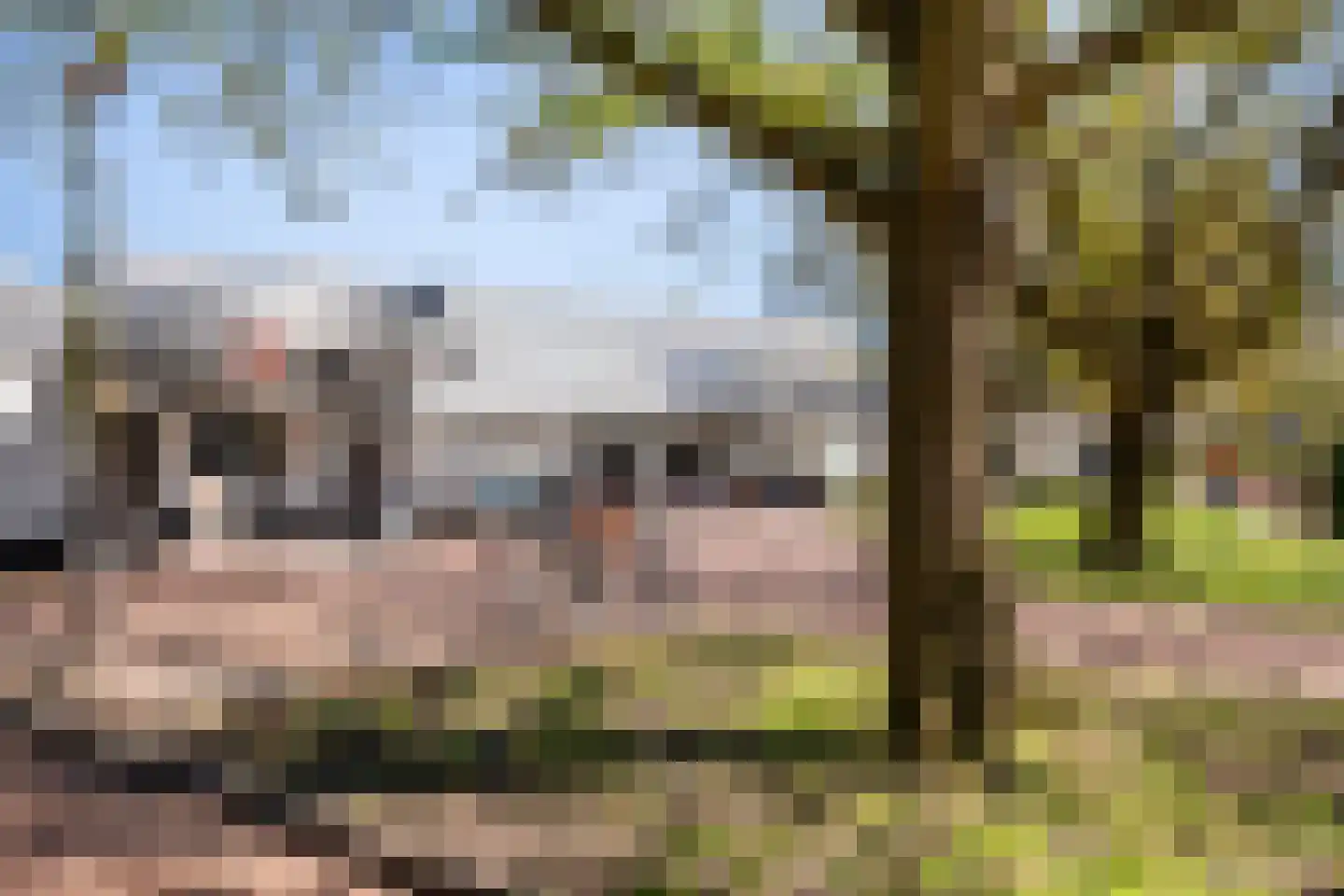 Scharmbarg 149 Assen thumbnail 25