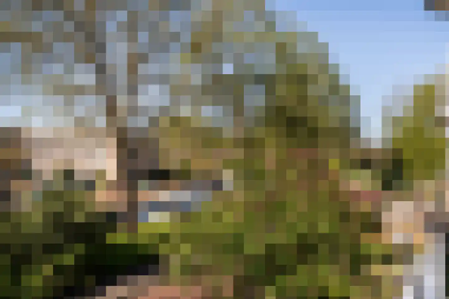 Scharmbarg 149 Assen thumbnail 26