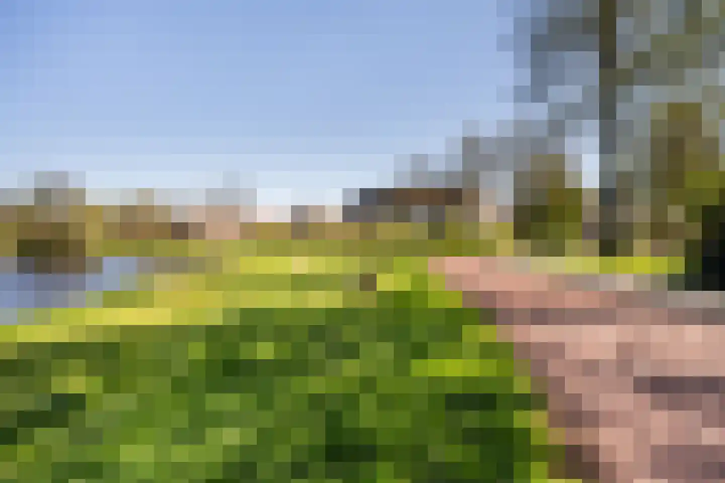 Scharmbarg 149 Assen thumbnail 27