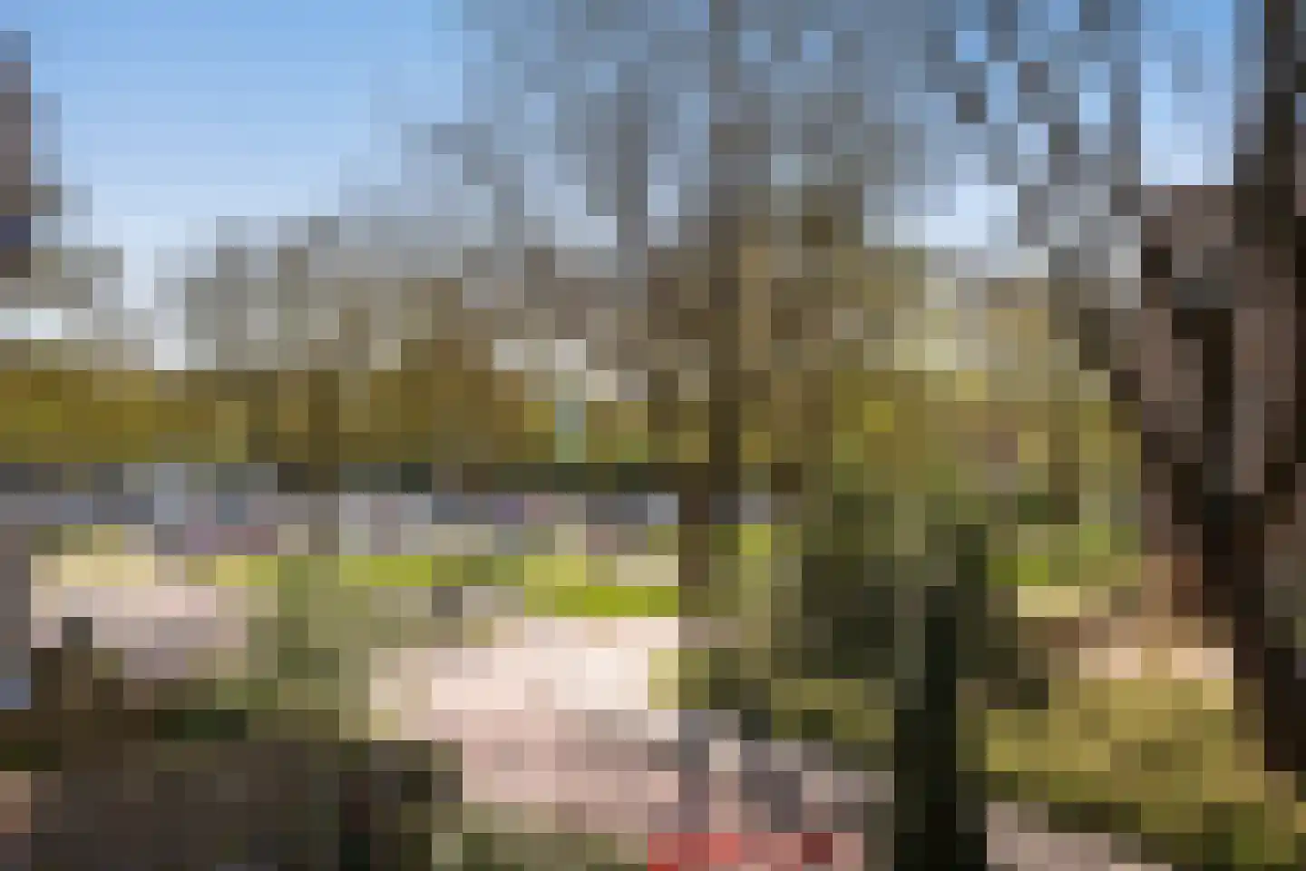 Scharmbarg 149 Assen thumbnail 5