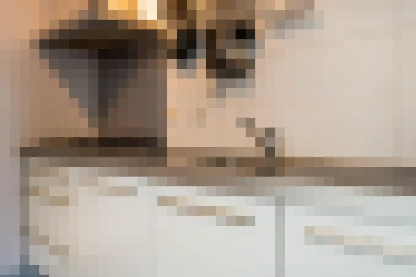 Scharmbarg 149 Assen thumbnail 9