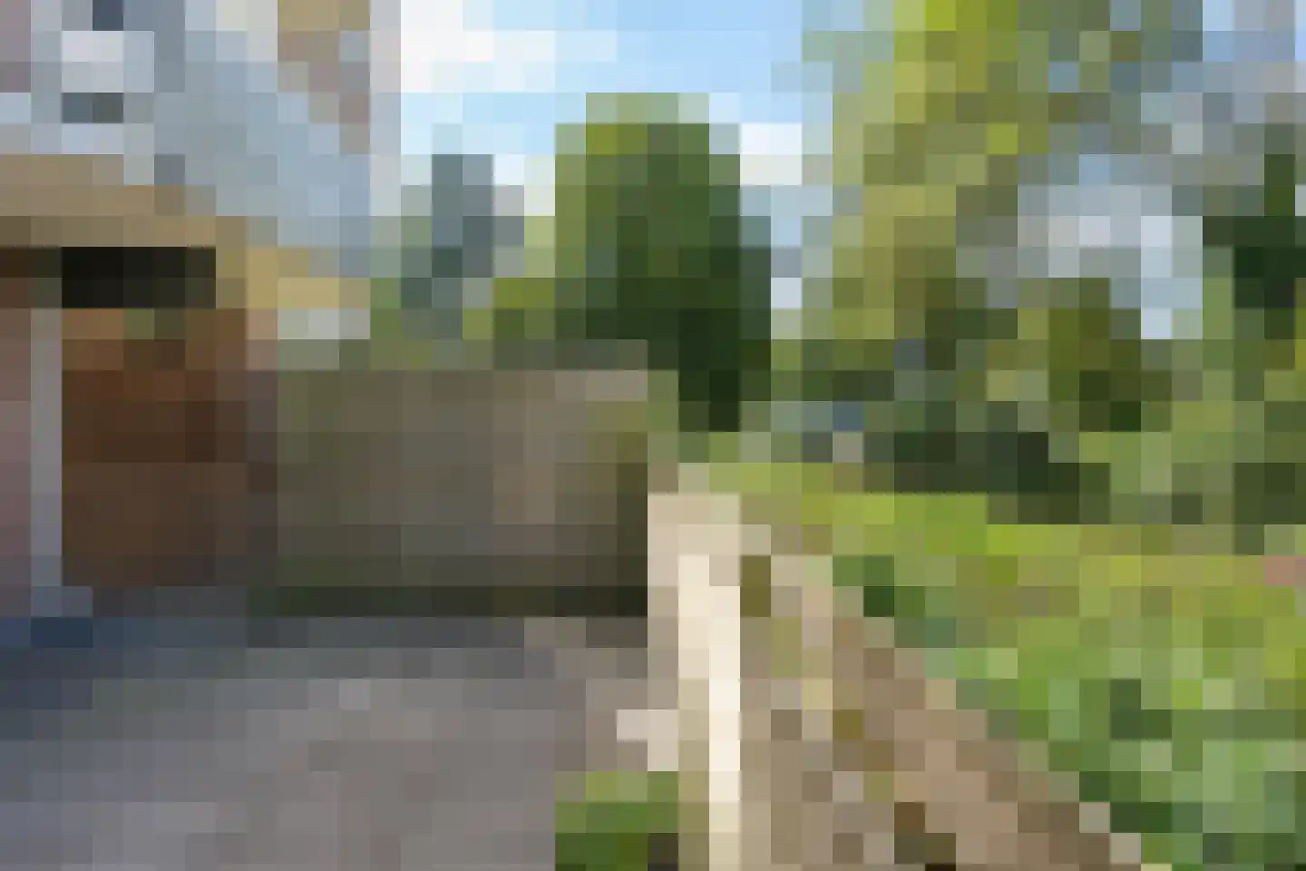 Scharmbarg 179 Assen thumbnail 22