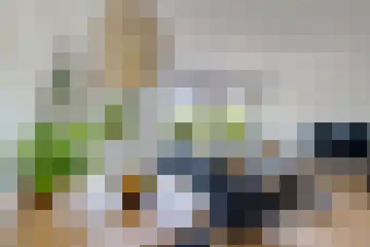 Scharmbarg 191 Assen thumbnail 14