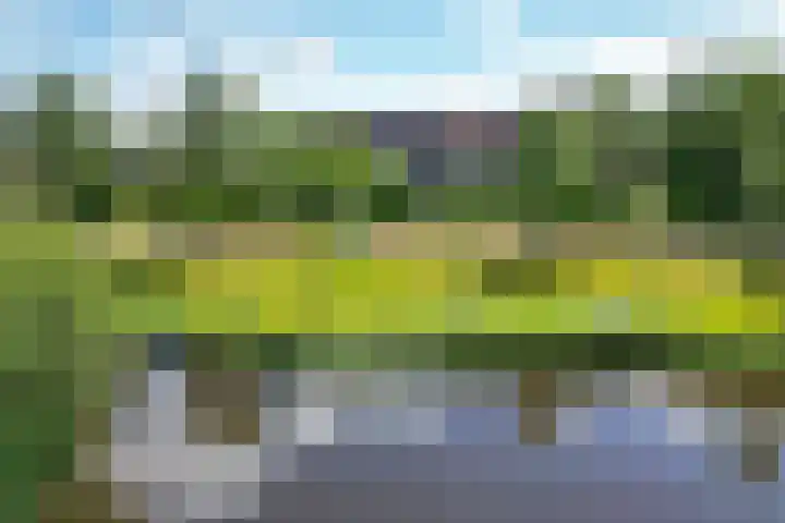Scharmbarg 191 Assen thumbnail 17