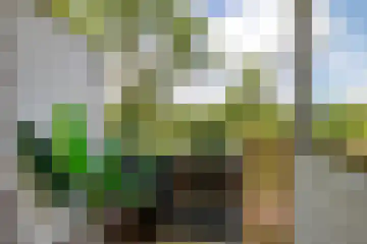 Scharmbarg 191 Assen thumbnail 20
