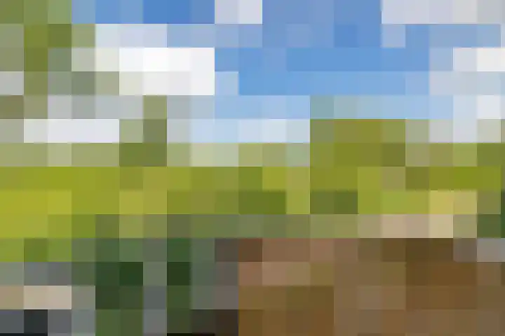 Scharmbarg 191 Assen thumbnail 21