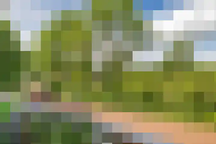 Scharmbarg 191 Assen thumbnail 22