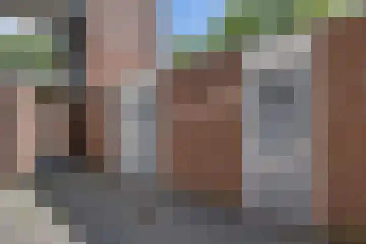 Scharmbarg 191 Assen thumbnail 5