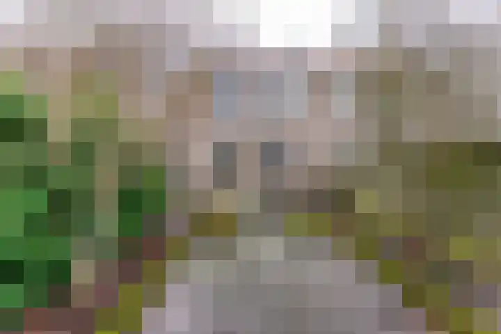 Scharmbarg 26 Assen thumbnail 17
