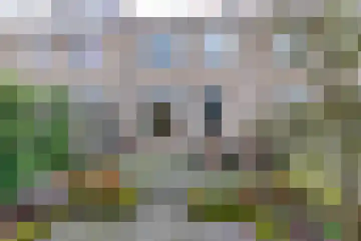 Scharmbarg 26 Assen thumbnail 18