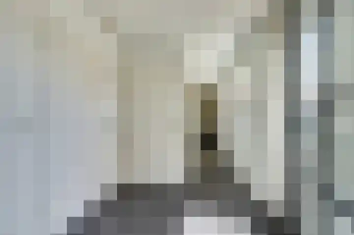 Scharnebuursterweg 11 Ferwoude thumbnail 15