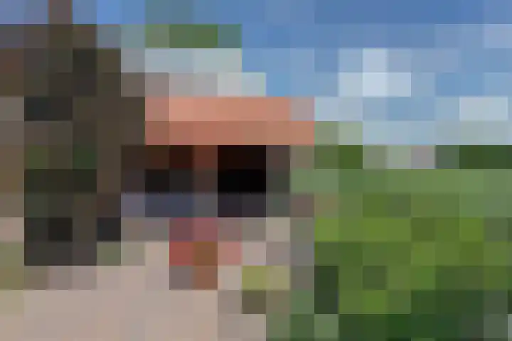 Scharnebuursterweg 11 Ferwoude thumbnail 30