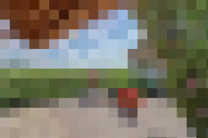 Scharnebuursterweg 11 Ferwoude thumbnail 32