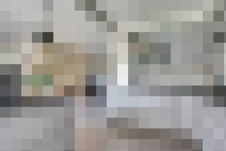 Scharnebuursterweg 11 Ferwoude thumbnail 4