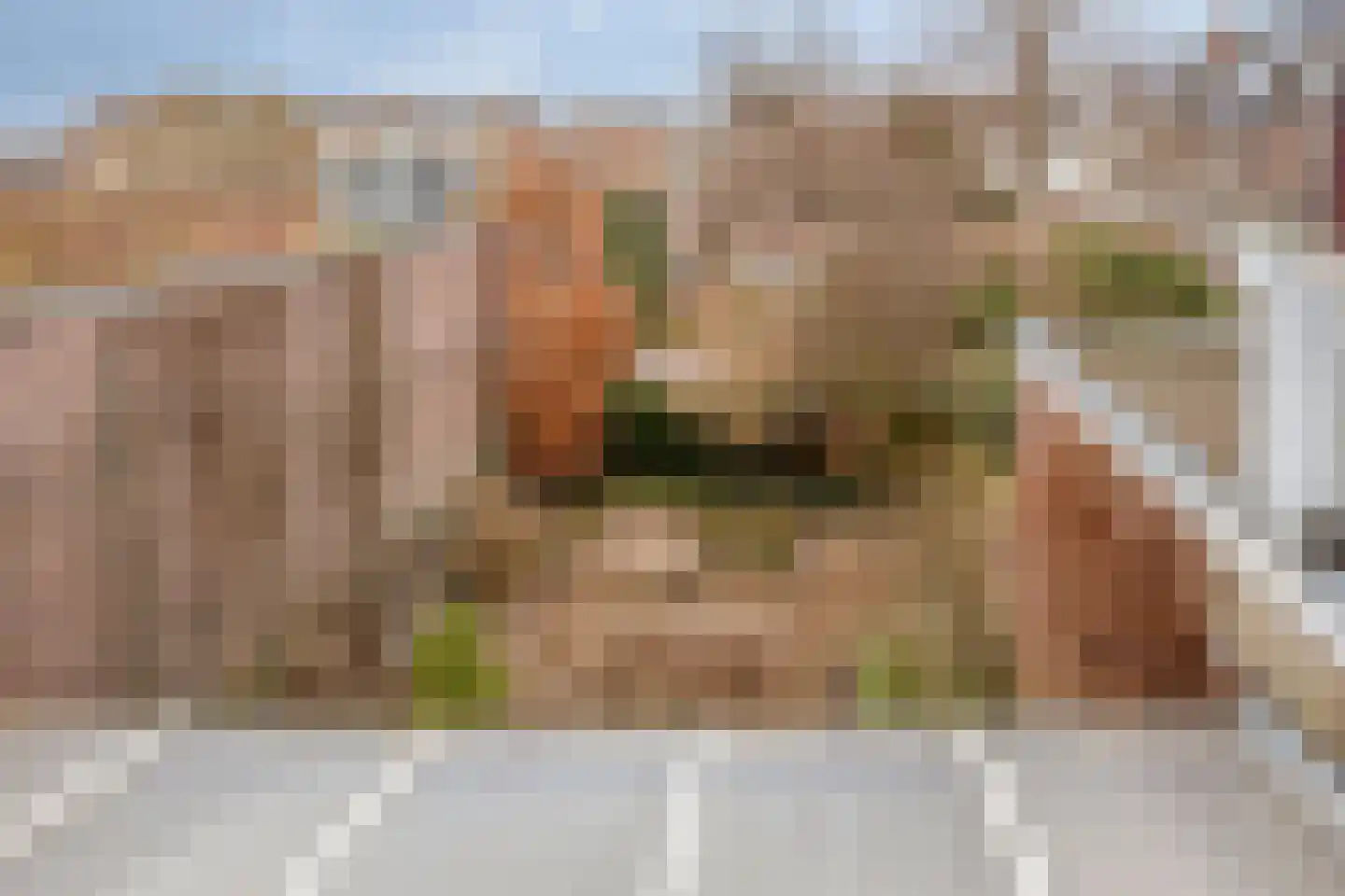 Scharnerweg 24 Maastricht thumbnail 19