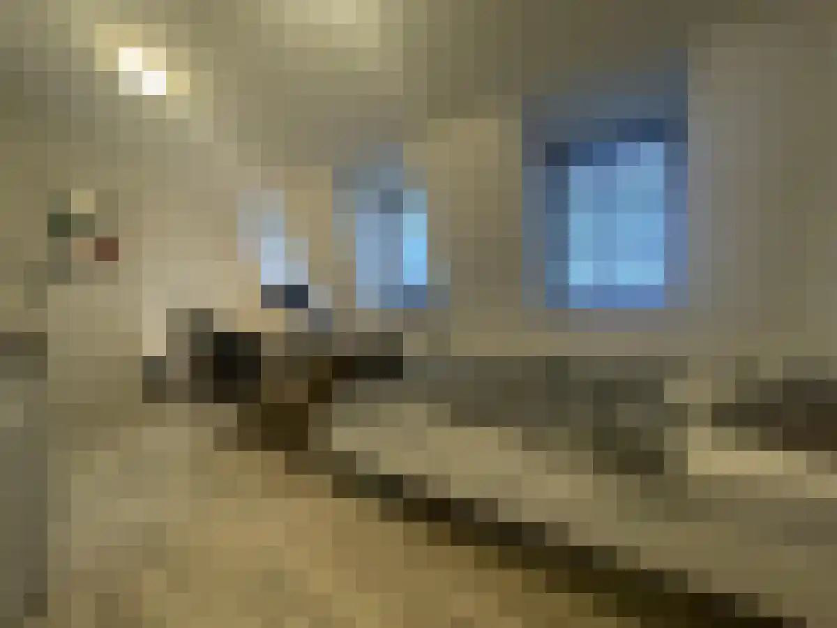 Scharnerweg Maastricht thumbnail 6