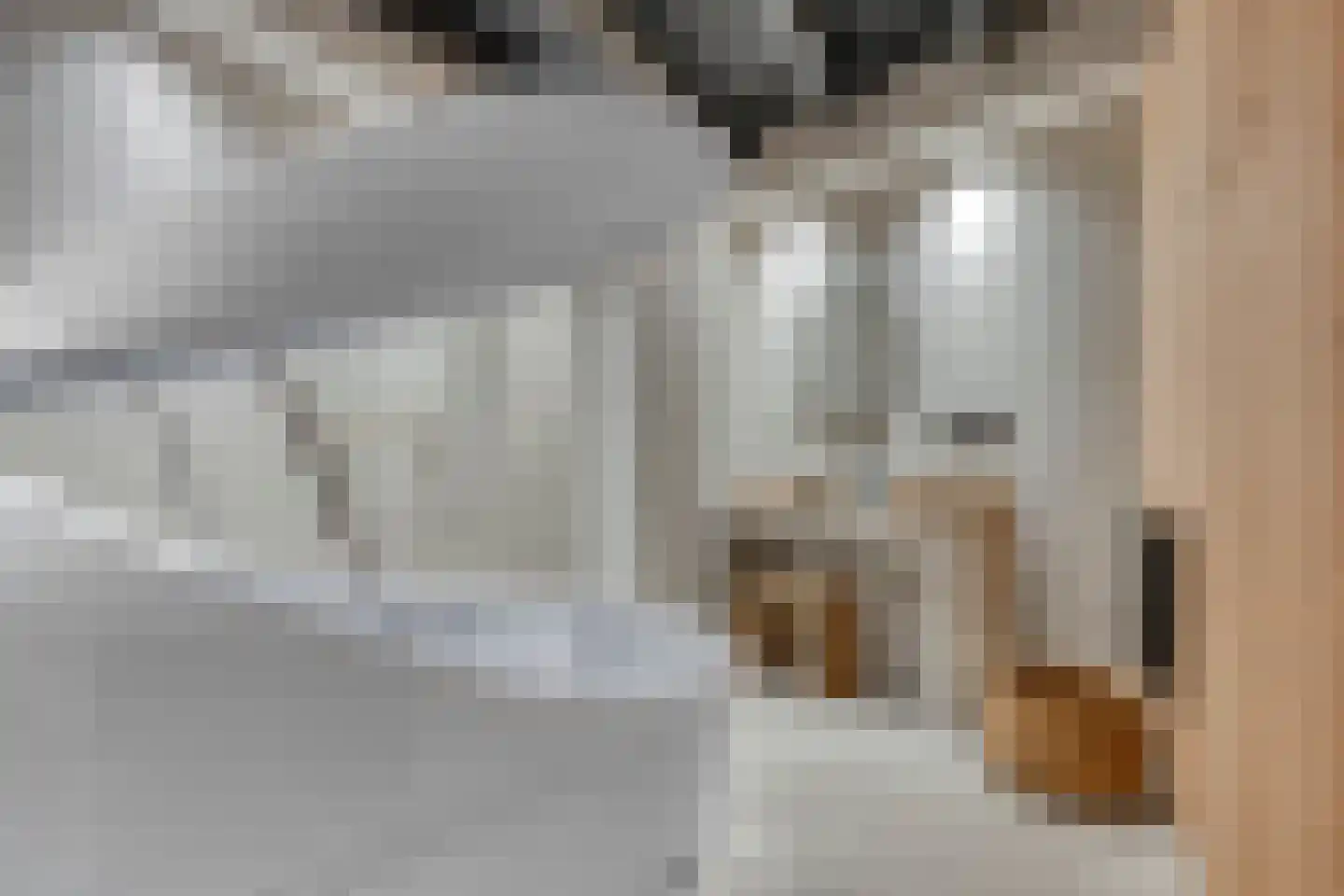 Scharnestraat 15 Sneek thumbnail 13