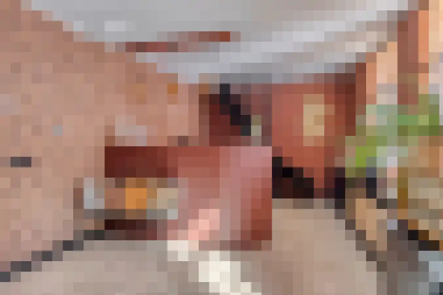Scharnestraat 15 Sneek thumbnail 7