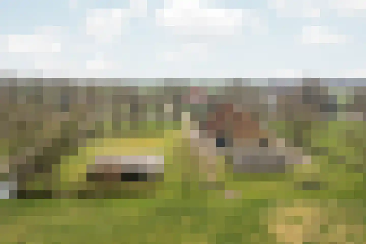 Scharren 24 Scharsterbrug thumbnail 38