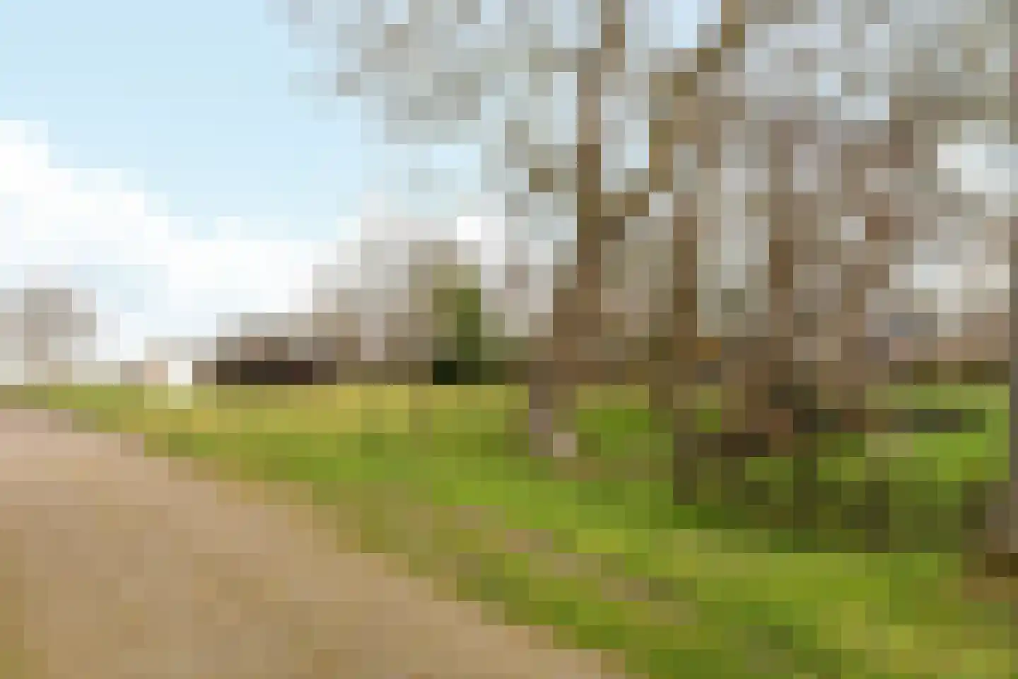 Scharren 24 Scharsterbrug thumbnail 46