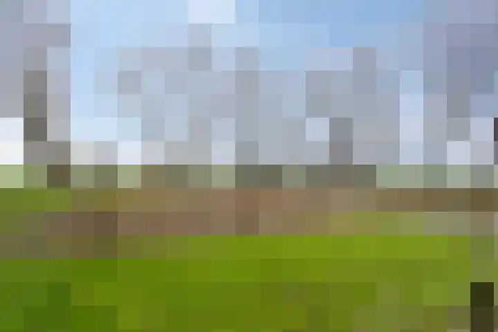 Scharren 6 Scharsterbrug thumbnail 11