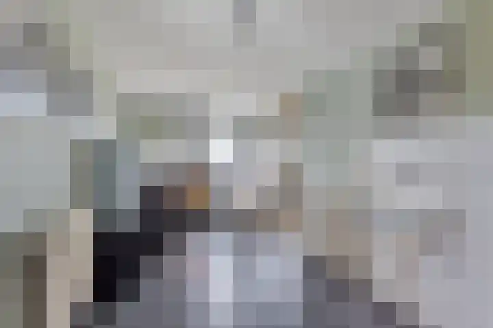 Scharren 6 Scharsterbrug thumbnail 22