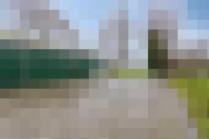 Scharren 6 Scharsterbrug thumbnail 35