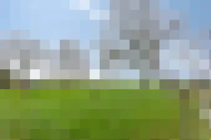 Scharren 6 Scharsterbrug thumbnail 37