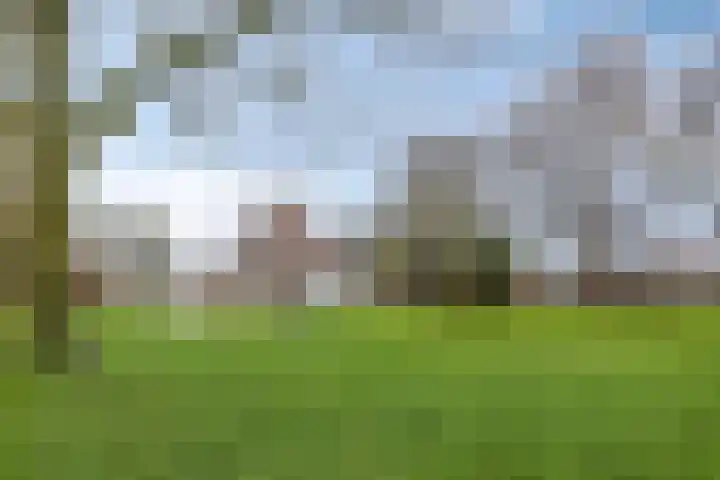 Scharren 6 Scharsterbrug thumbnail 38