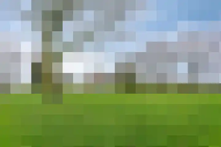 Scharren 6 Scharsterbrug thumbnail 39