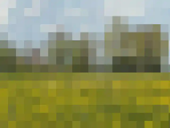Scharren 6 Scharsterbrug thumbnail 42