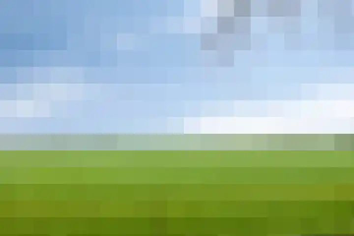 Scharren 6 Scharsterbrug thumbnail 43