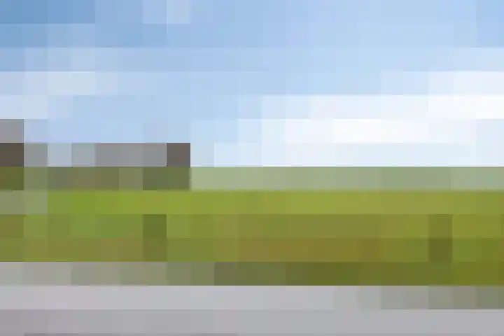 Scharren 6 Scharsterbrug thumbnail 5