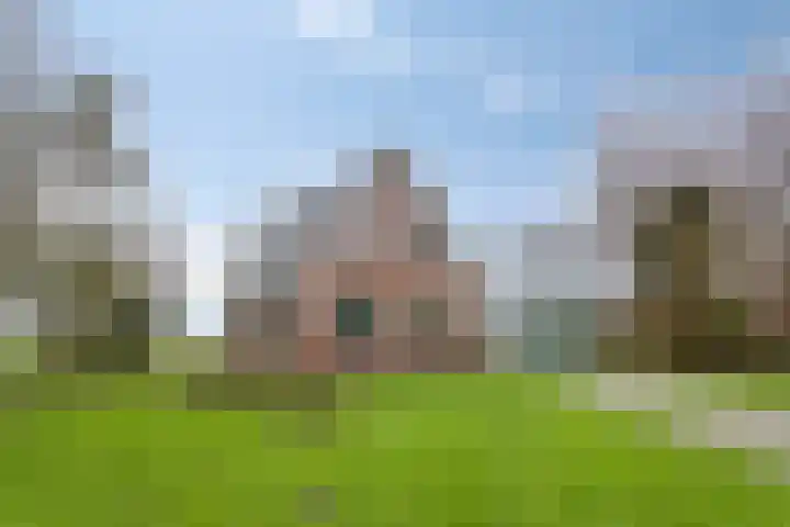 Scharren 6 Scharsterbrug thumbnail 8
