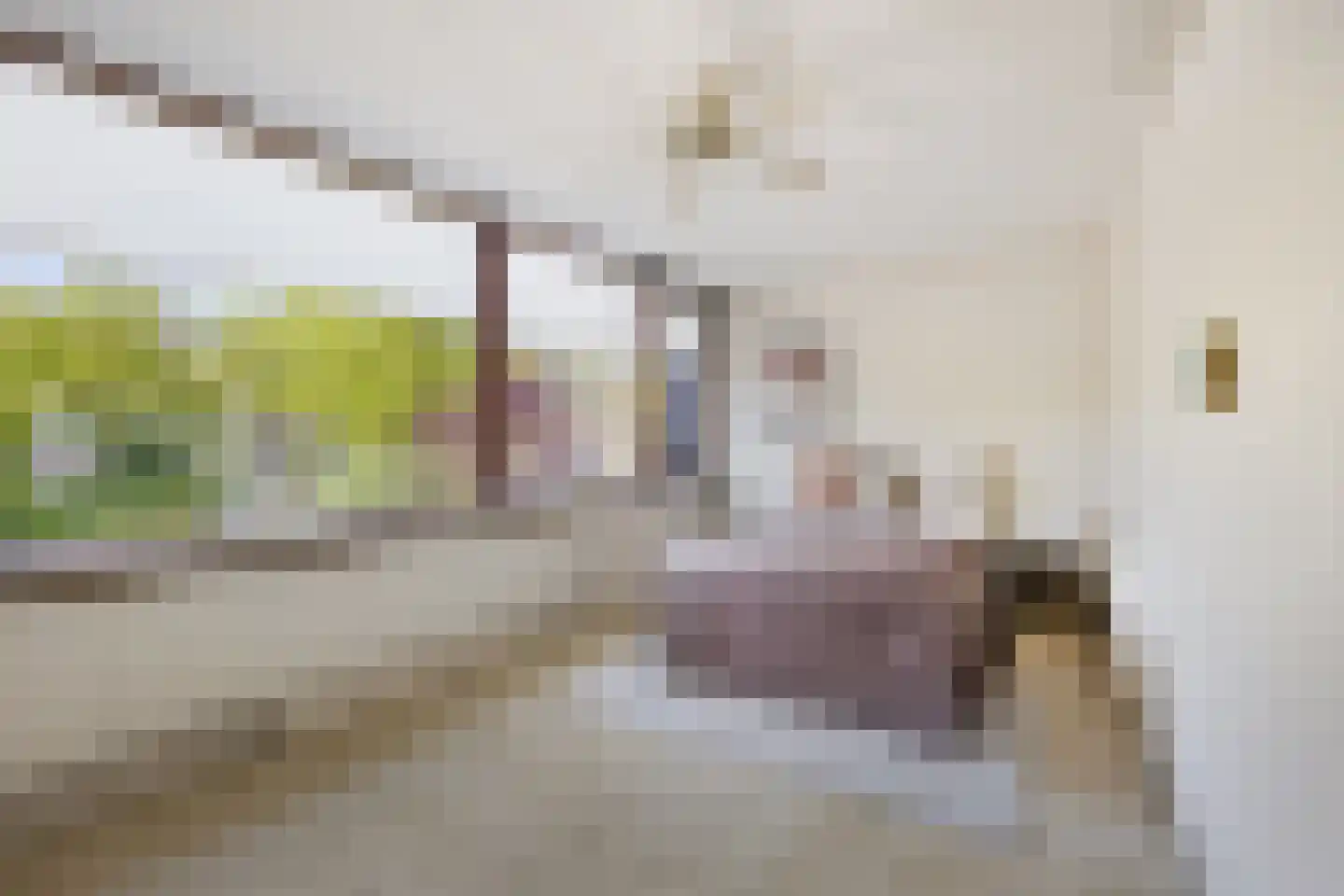 Scharreveld 44 Haarlem thumbnail 13
